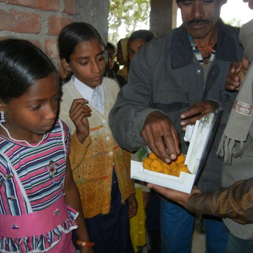 419320_227146100704460_1111333498_n